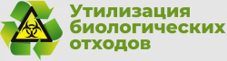 � ����������� ������������� ������� � ������������������� ������