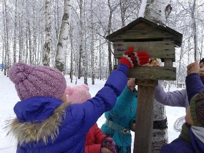 Зима — непростое время для птиц. Чтобы помочь им пережить зиму, их нужно подкармливать.