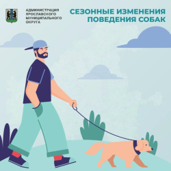��������: ����� �������� ������